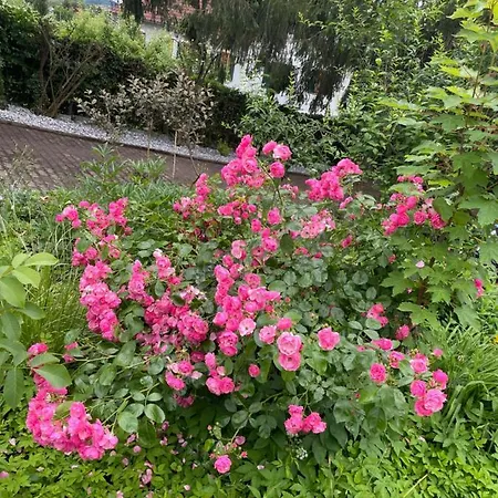 Apartment Freiblick 1 Bad Glbg Mit Garten Top1